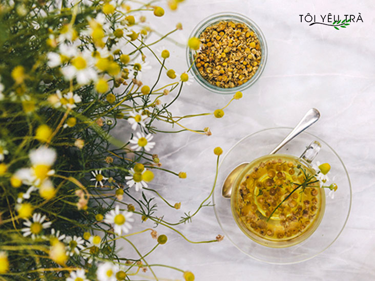 trà hoa cúc chamomile hay còn gọi là cúc la mã rất tốt cho sức khỏe, hương vị thơm ngon dễ uống